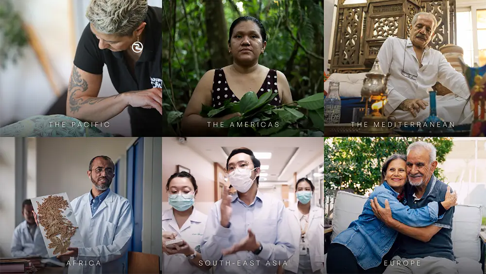 Six traditional healers from all around the world for the World Health Organization Traditional Medicine campaign