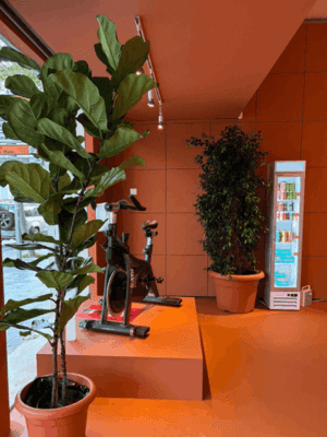 proyecto de actividad de ingeniería en Palma 