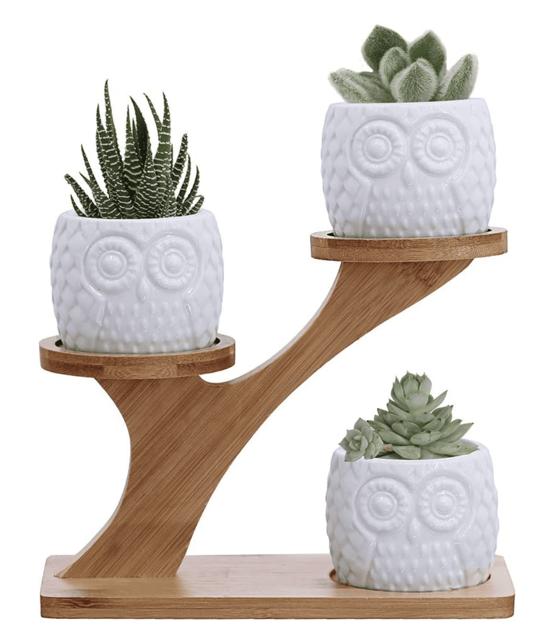 Owl Succulent Pots with 3 Tier Bamboo Saucers Stand Holder