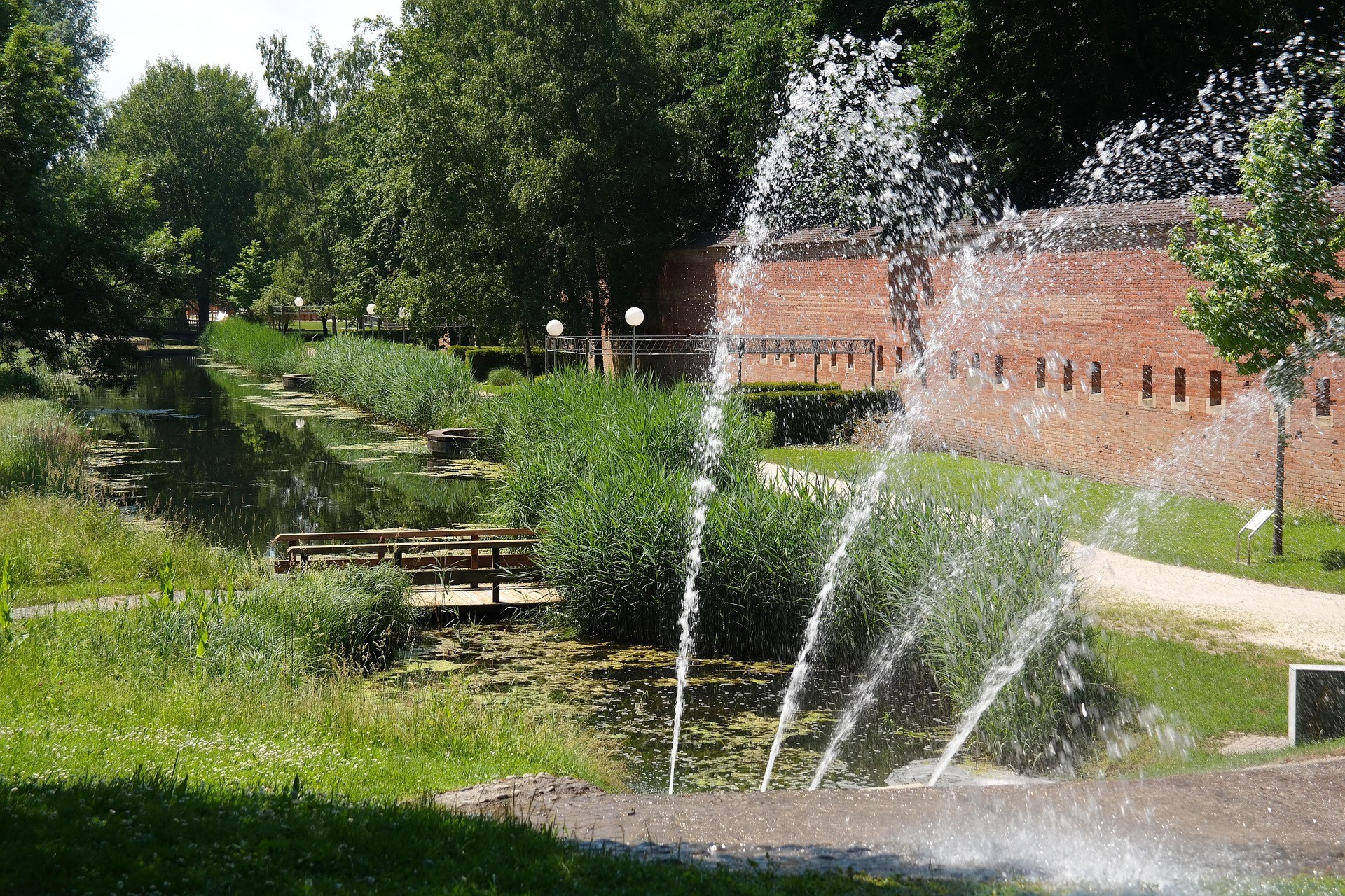 baumpflege Neu-Ulm
