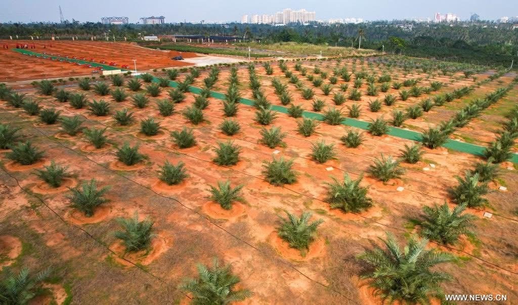 Family with two kids holding a small solar panel