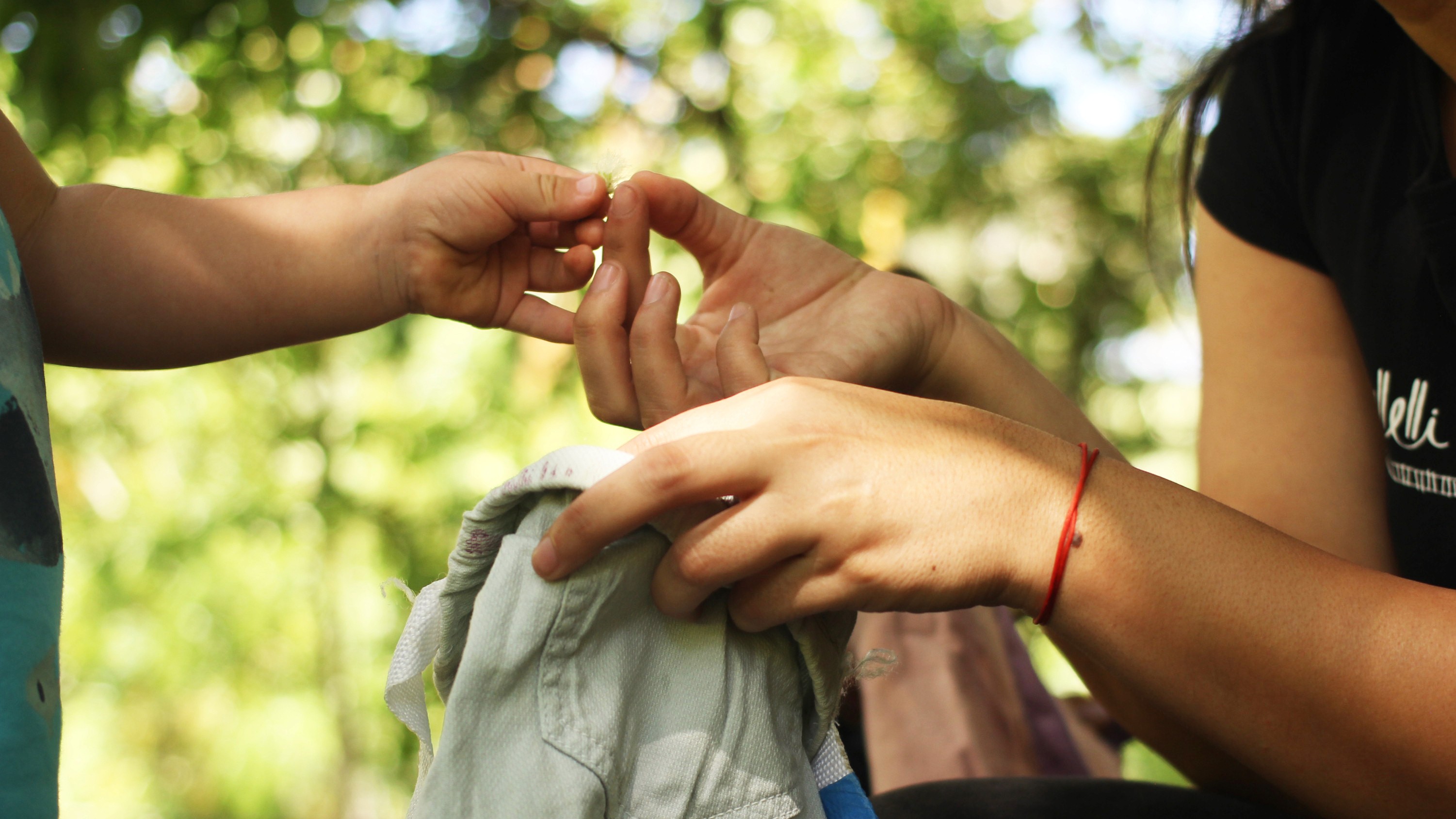 Manos de adulto y niño interactuando suavemente, simbolizando el cuidado, la guía y la conexión en un entorno natural