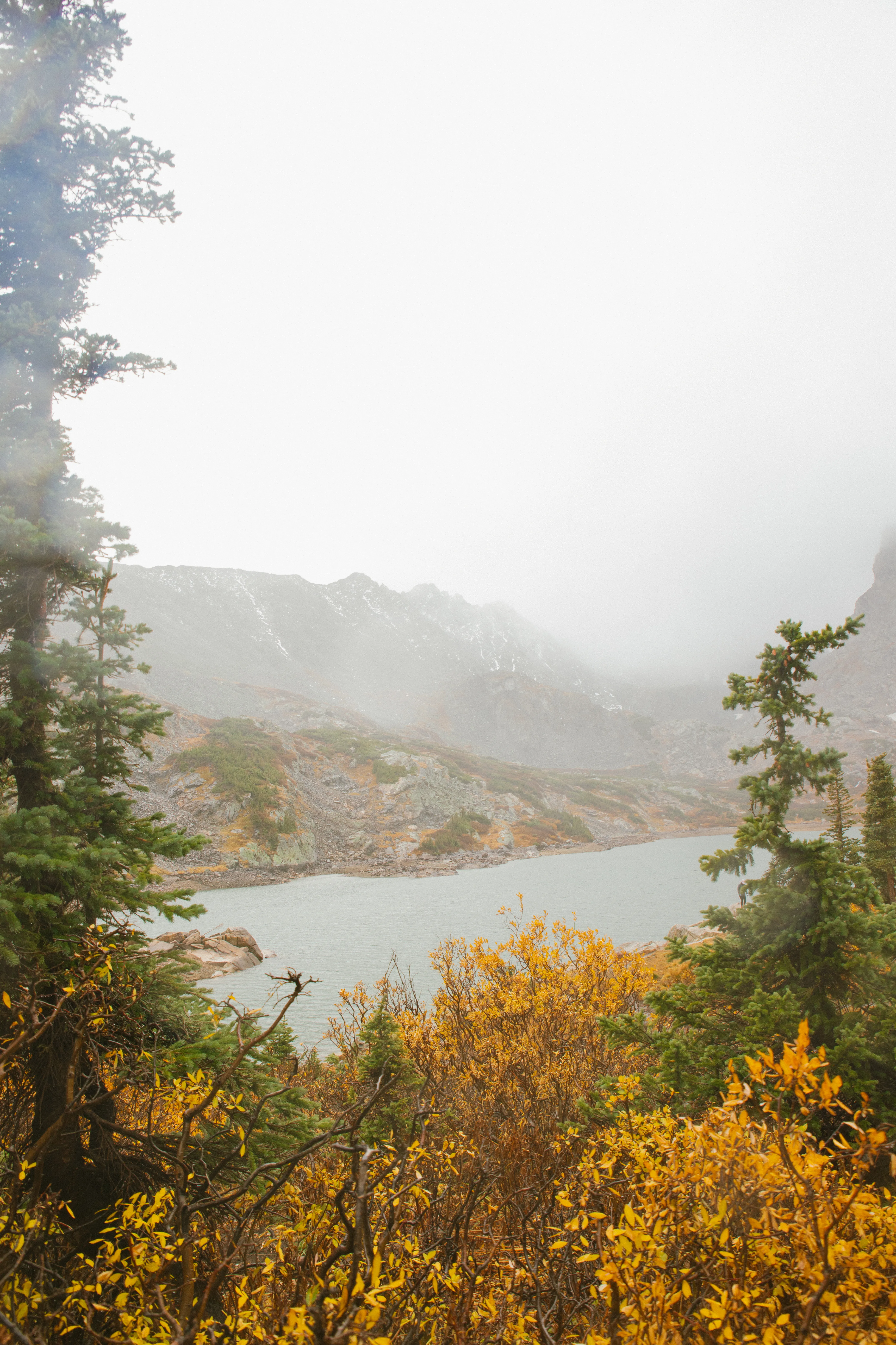 Streetside billboard with flyposters of the Batch.Works brand and illustrations