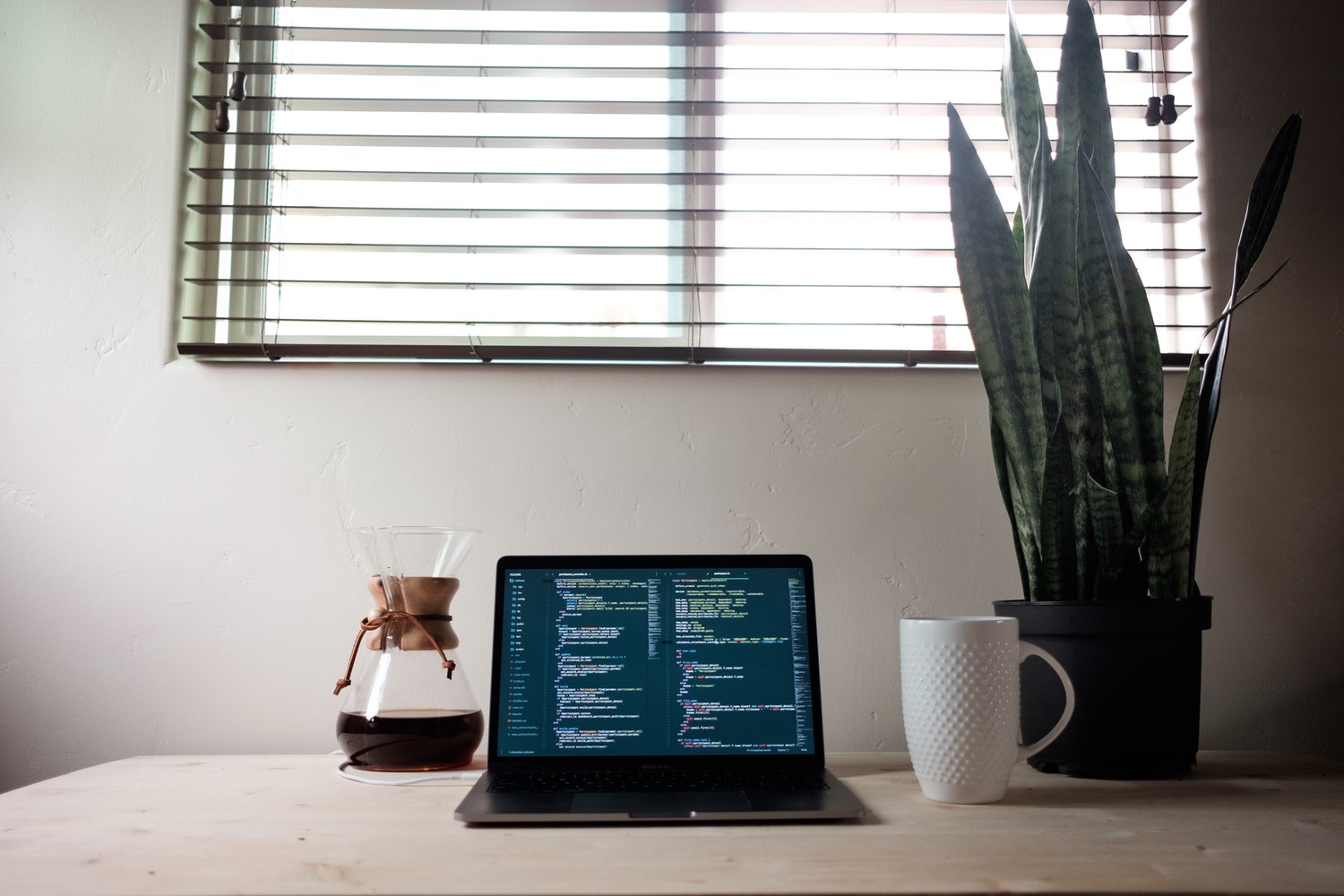 A cozy workspace featuring a laptop displaying code, a coffee carafe, a white mug and a tall snake plant by a window with.