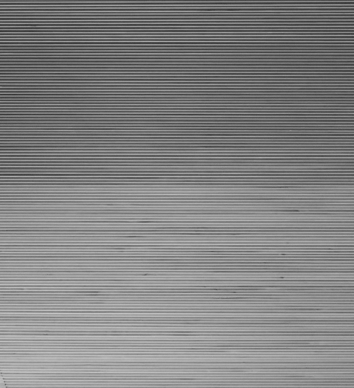 black and white striped illustration
