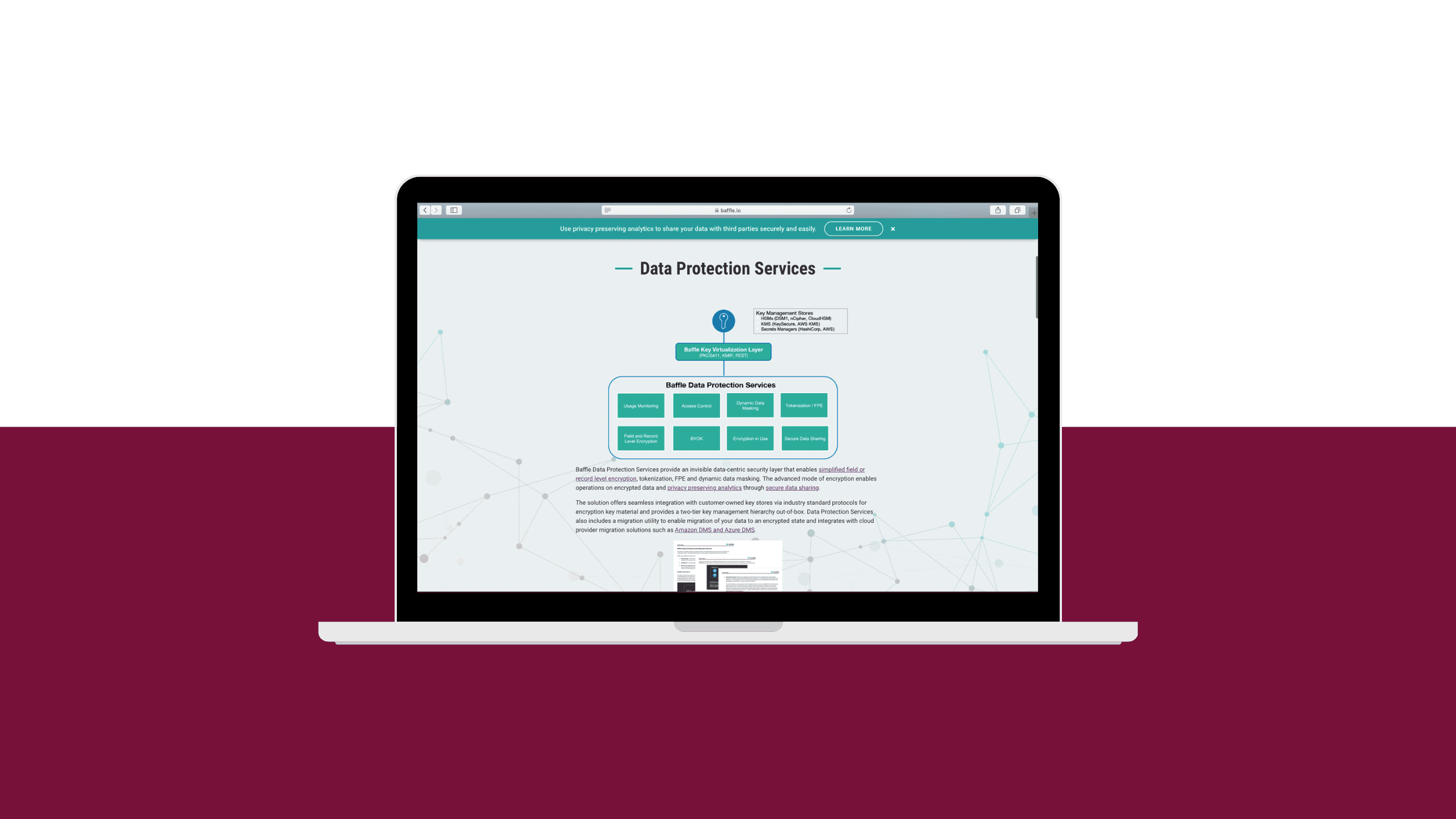 Baffle.io's Data Protection Services page