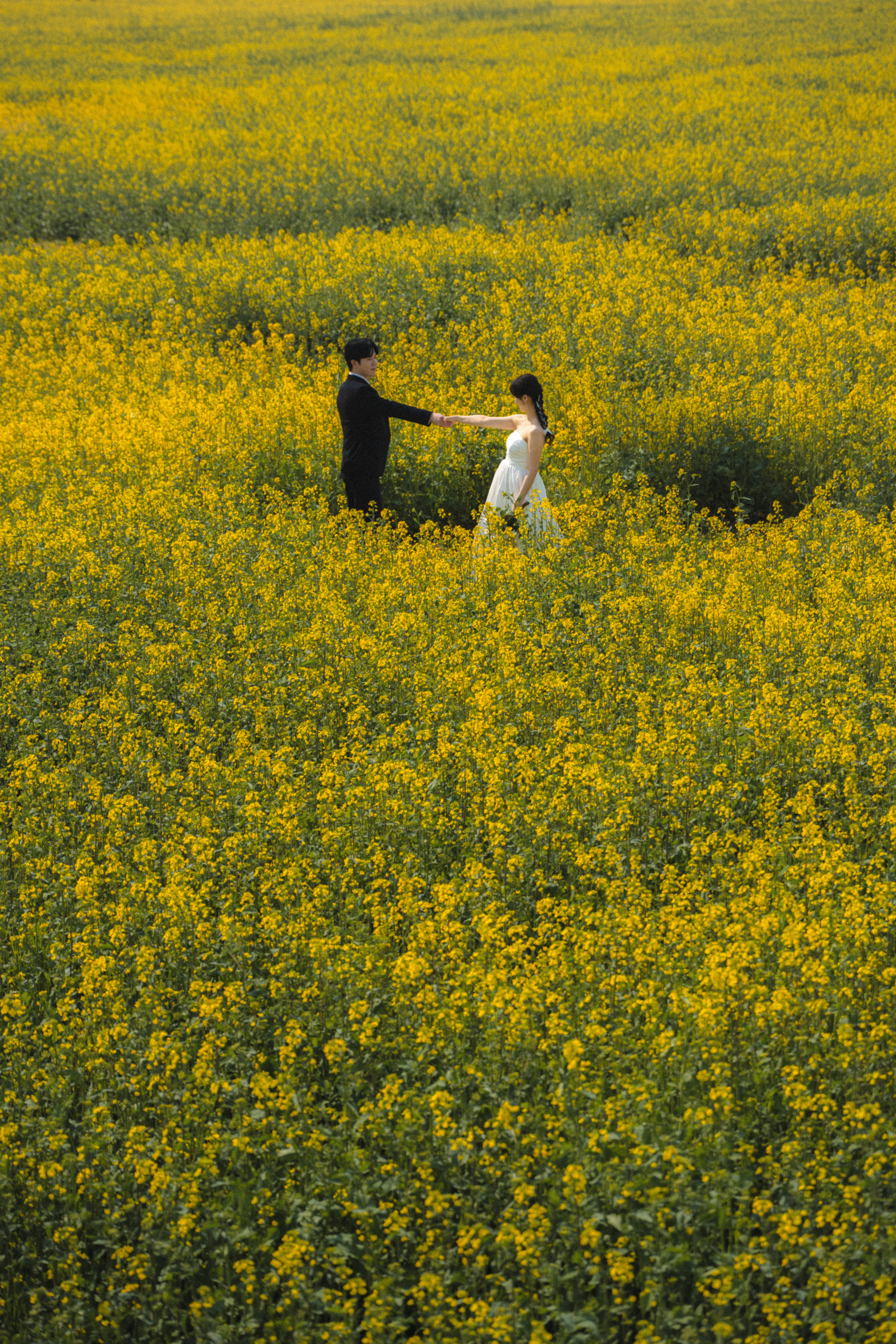 Photograph title Copy Copy Copy Copy Copy Copy Copy Copy Copy Copy