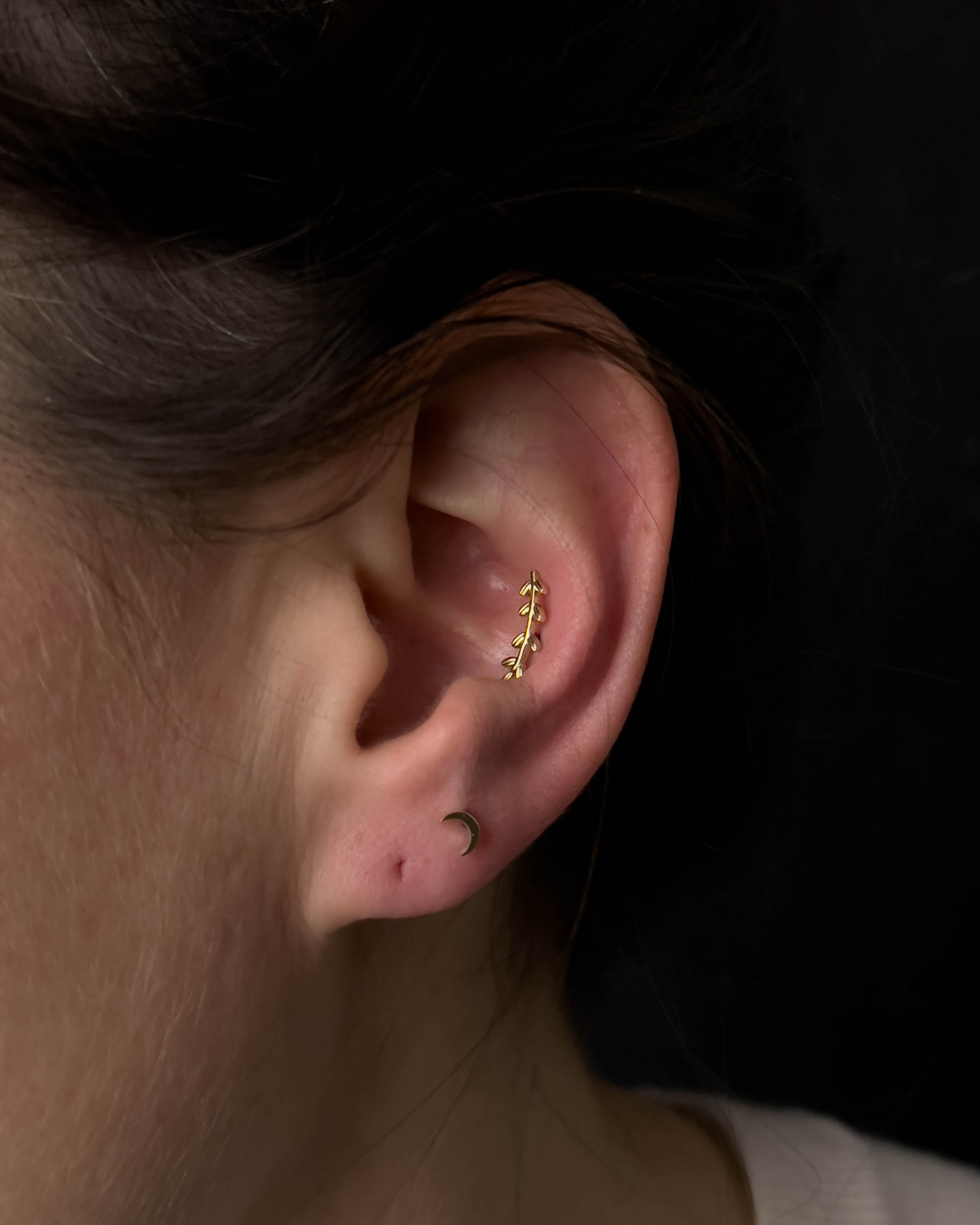 boston piercer, ear piercing, newton piercing, ear curation, piercings