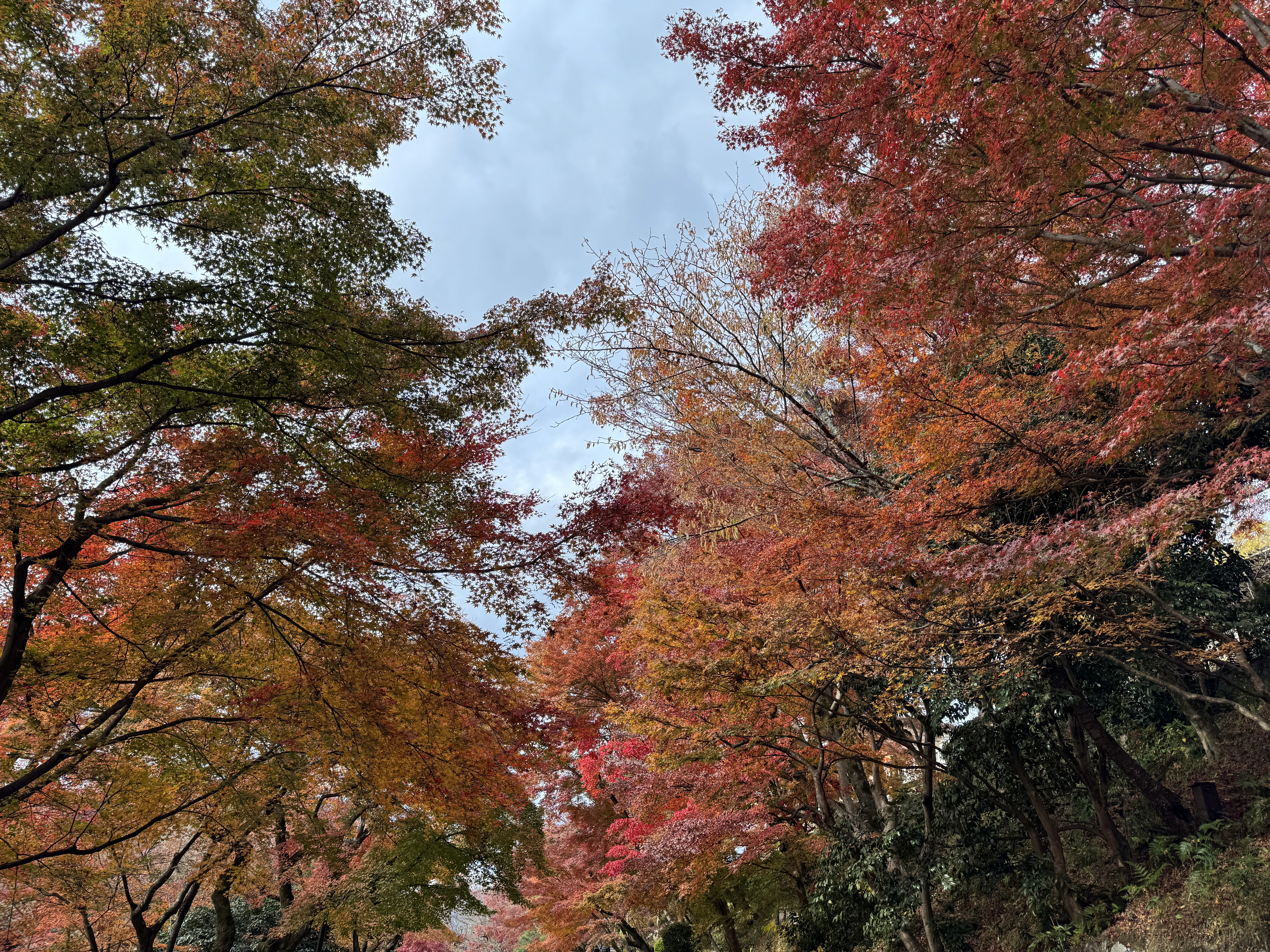 a person standing in front of a building