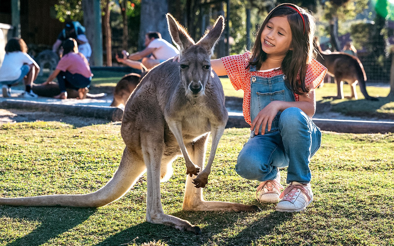 Child petting a kangaroo at Paradise Country.