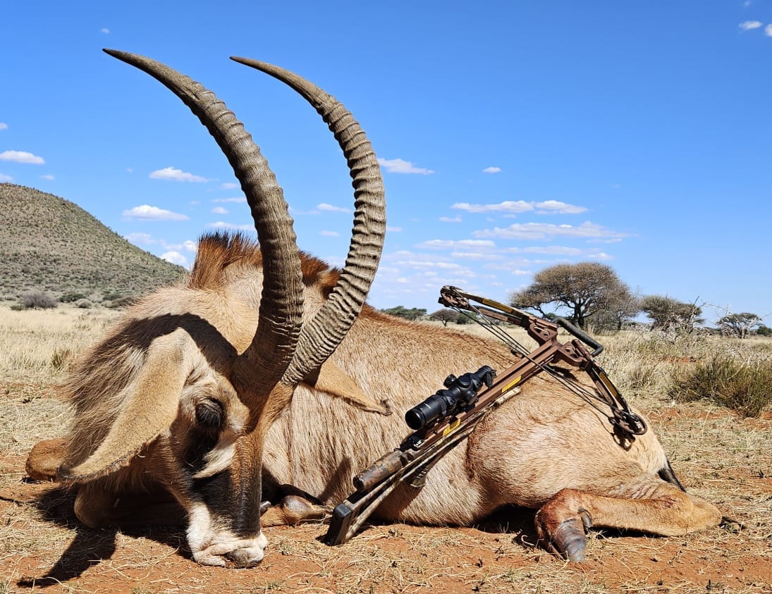 Gilson Hunting Safaris gallery photo 39