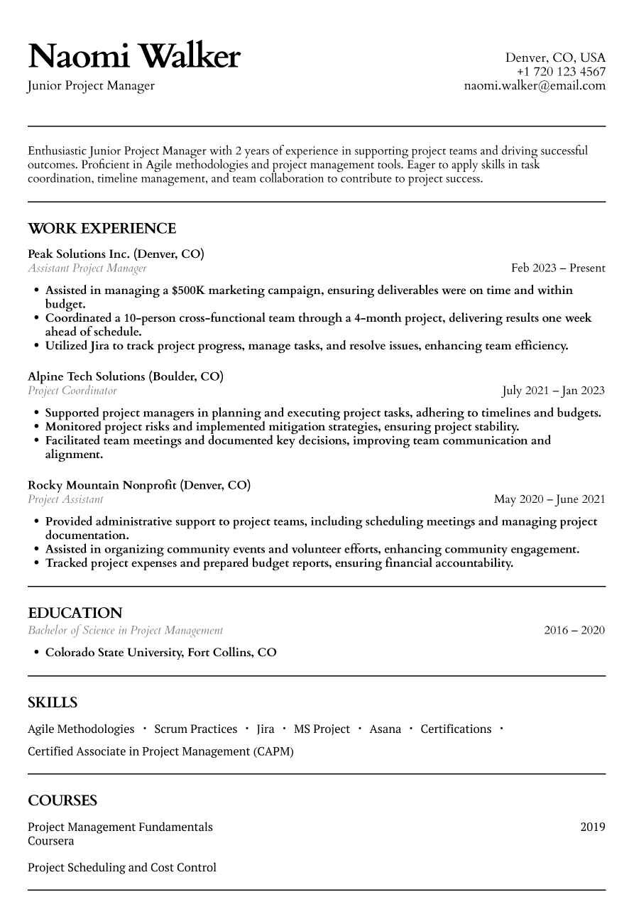 Junior project manager resume example