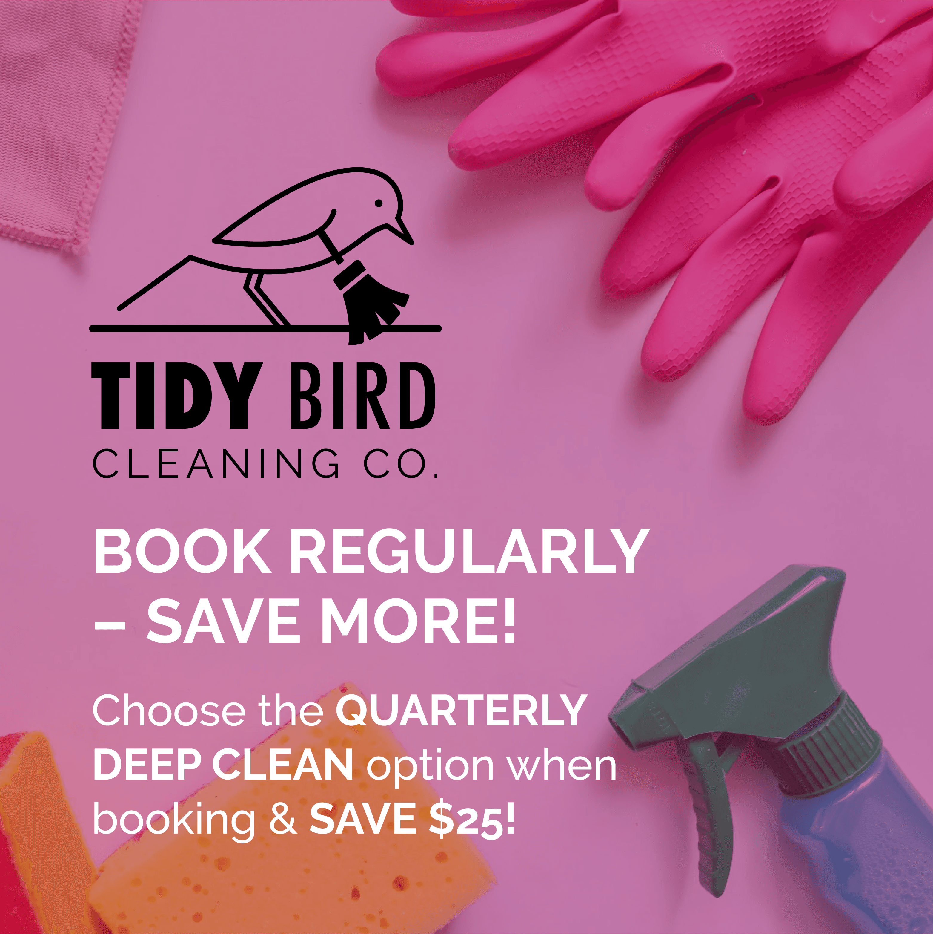 tidy bird cleaning burlington oakville