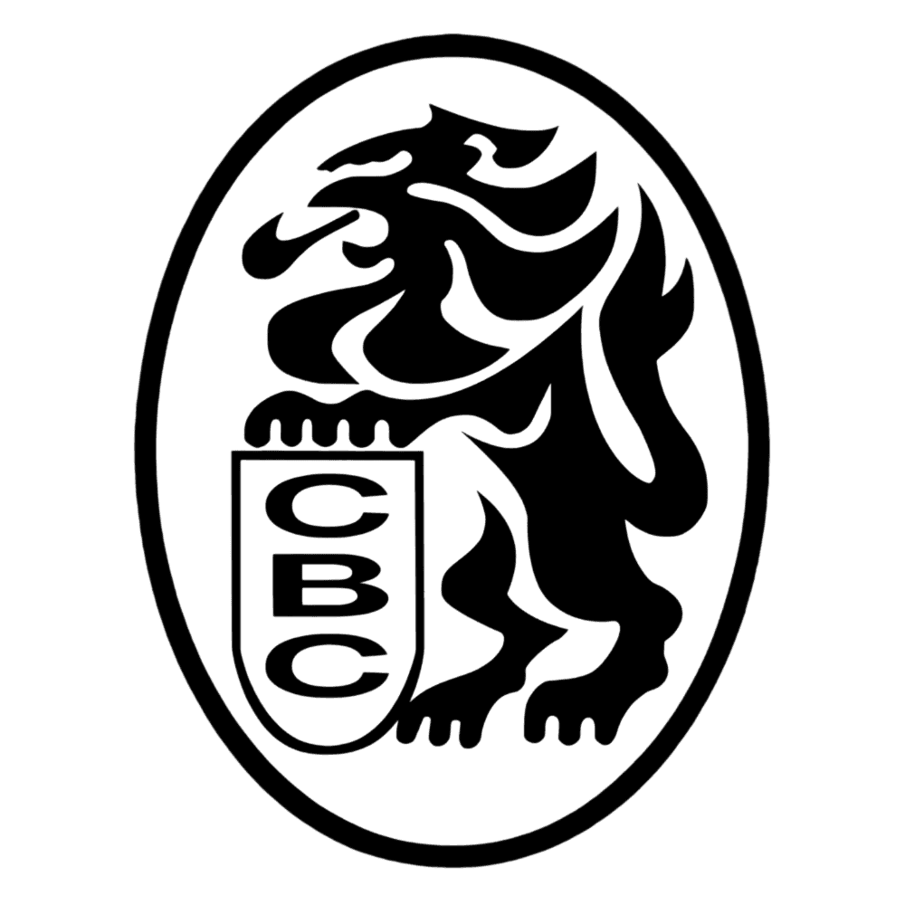 Navegantes del Magallanes