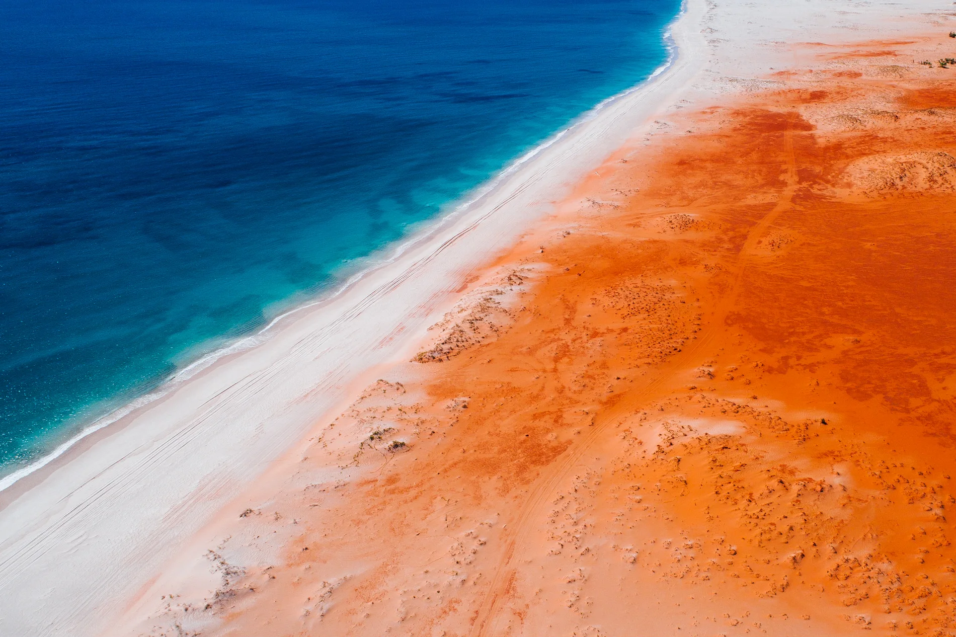 Aerial of orange dunes meeting a white beach and deep blue ocean