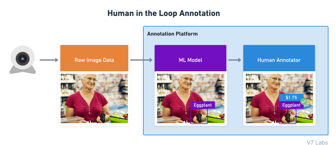 Human in the loop (HITL)