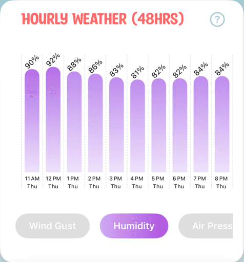 Hourly Weather