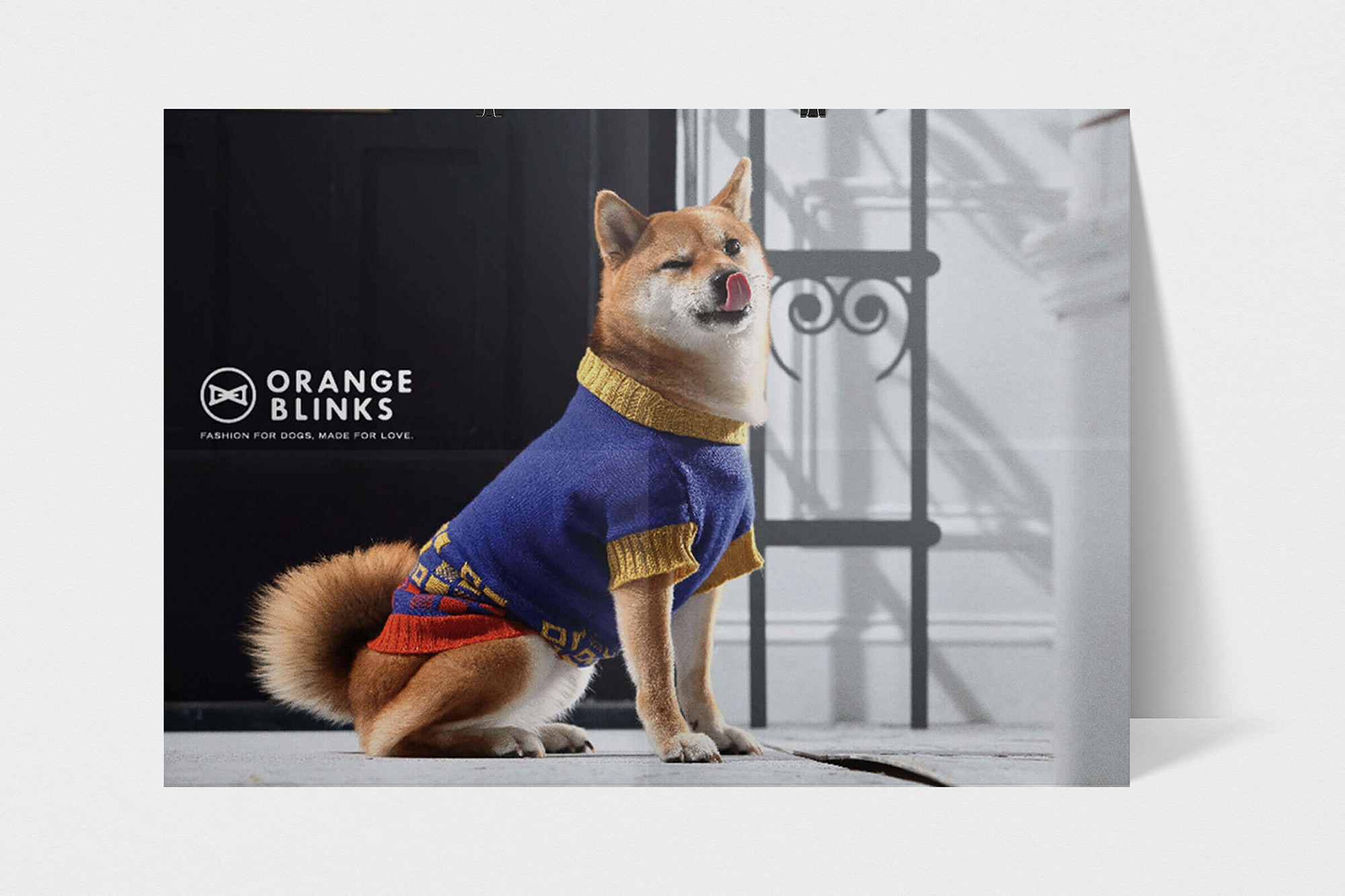 這張圖片展示了一隻穿著藍黃色毛衣的柴犬,左側印有ORANGE BLINKS的標識和標語「FASHION FOR DOGS, MADE FOR LOVE.」。