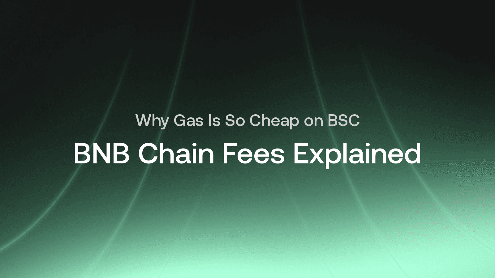 BNB Smart Chain Fees Explained: Why It's So Cheap to Use