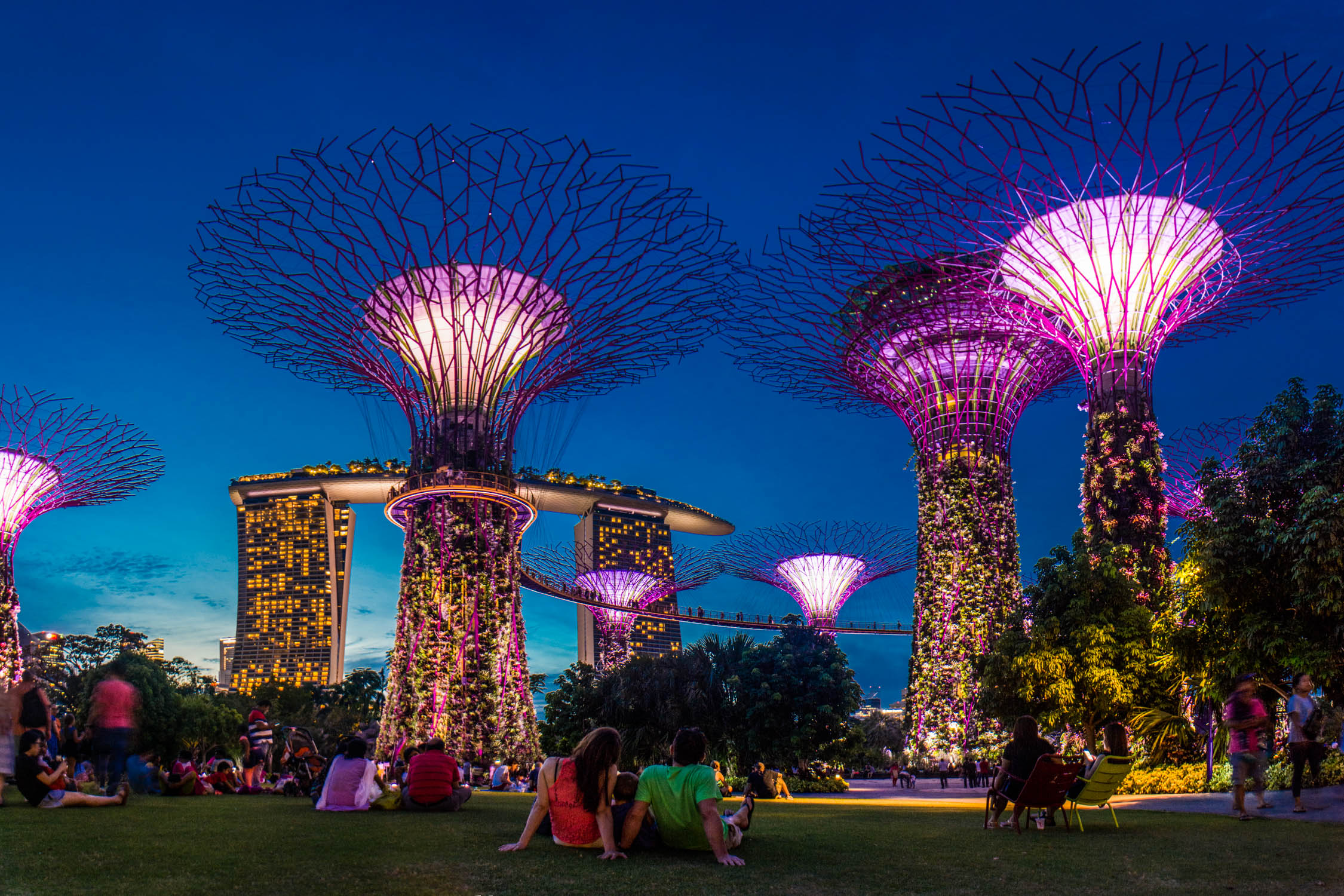 People sit on grass beneath illuminated Supertree structures with purple and pink lights at Gardens by the Bay at dusk.