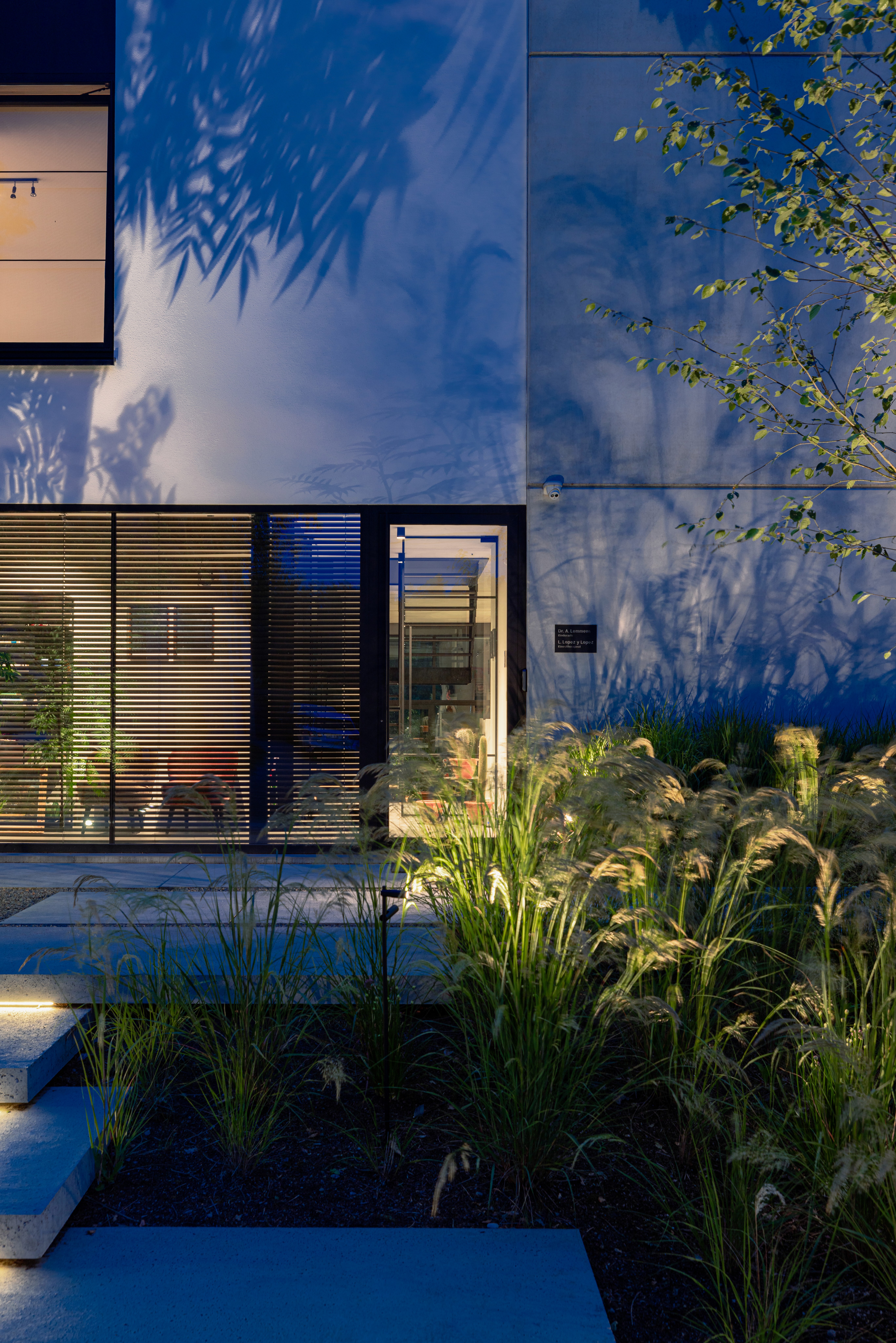 Here comes the alt text