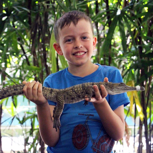 เด็กชายในเสื้อสีฟ้ายิ้มอย่างมีความสุขขณะถือจระเข้ตัวเล็กๆ มีใบไม้สีเขียวหนาแน่นอยู่เบื้องหลัง