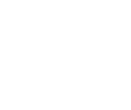 Intelligence Assist