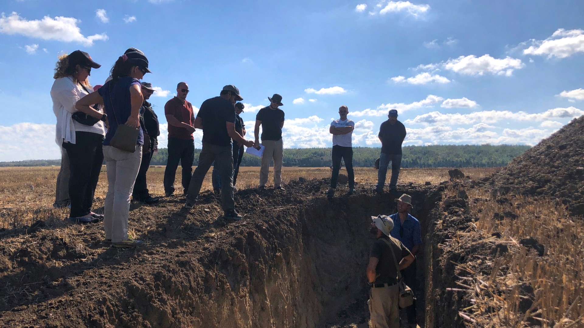 Sustainability Teams