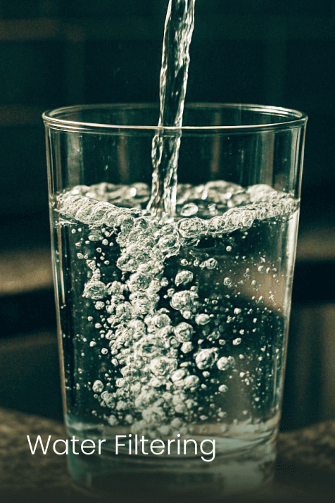 Close-up of a tree stump showing growth rings and a textured brown wood surface.