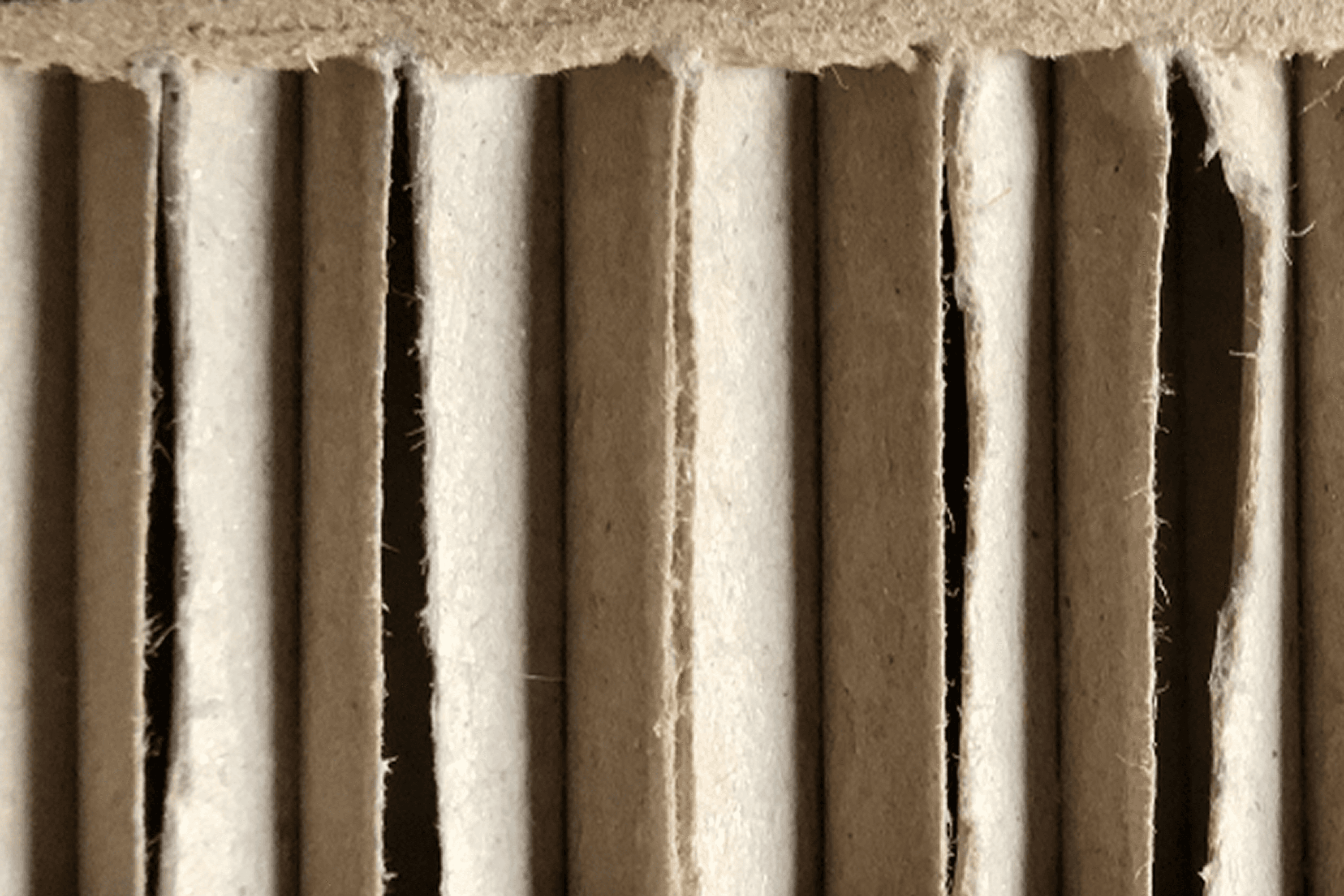 Corrugated cardboard texture with vertical flutes