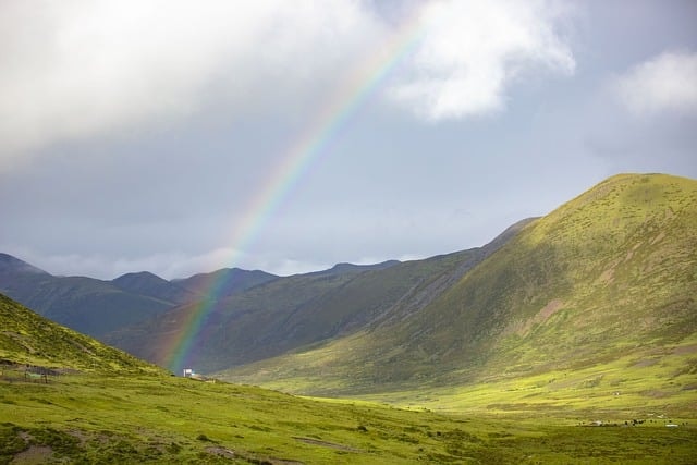 Rinbow in the grasslands