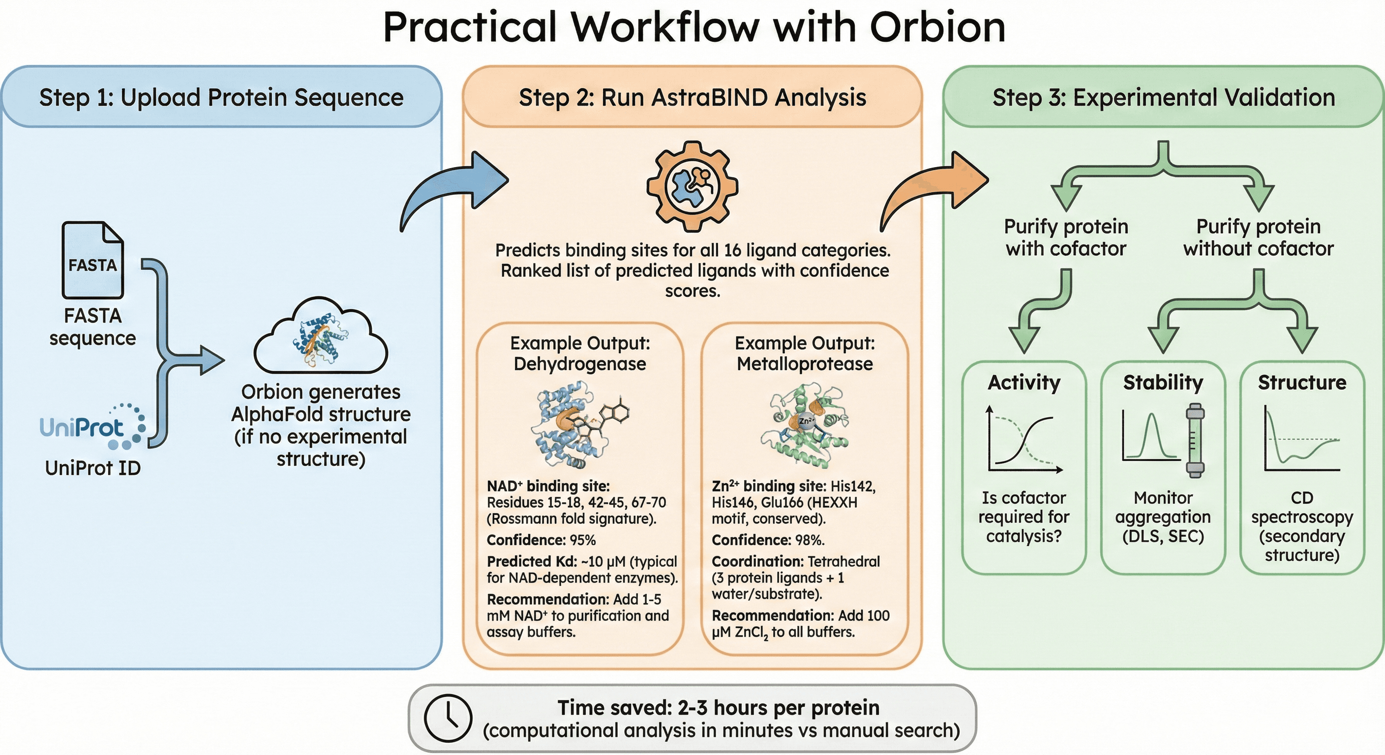 Diagram Showcasing a Practical Workflow Using Orbion