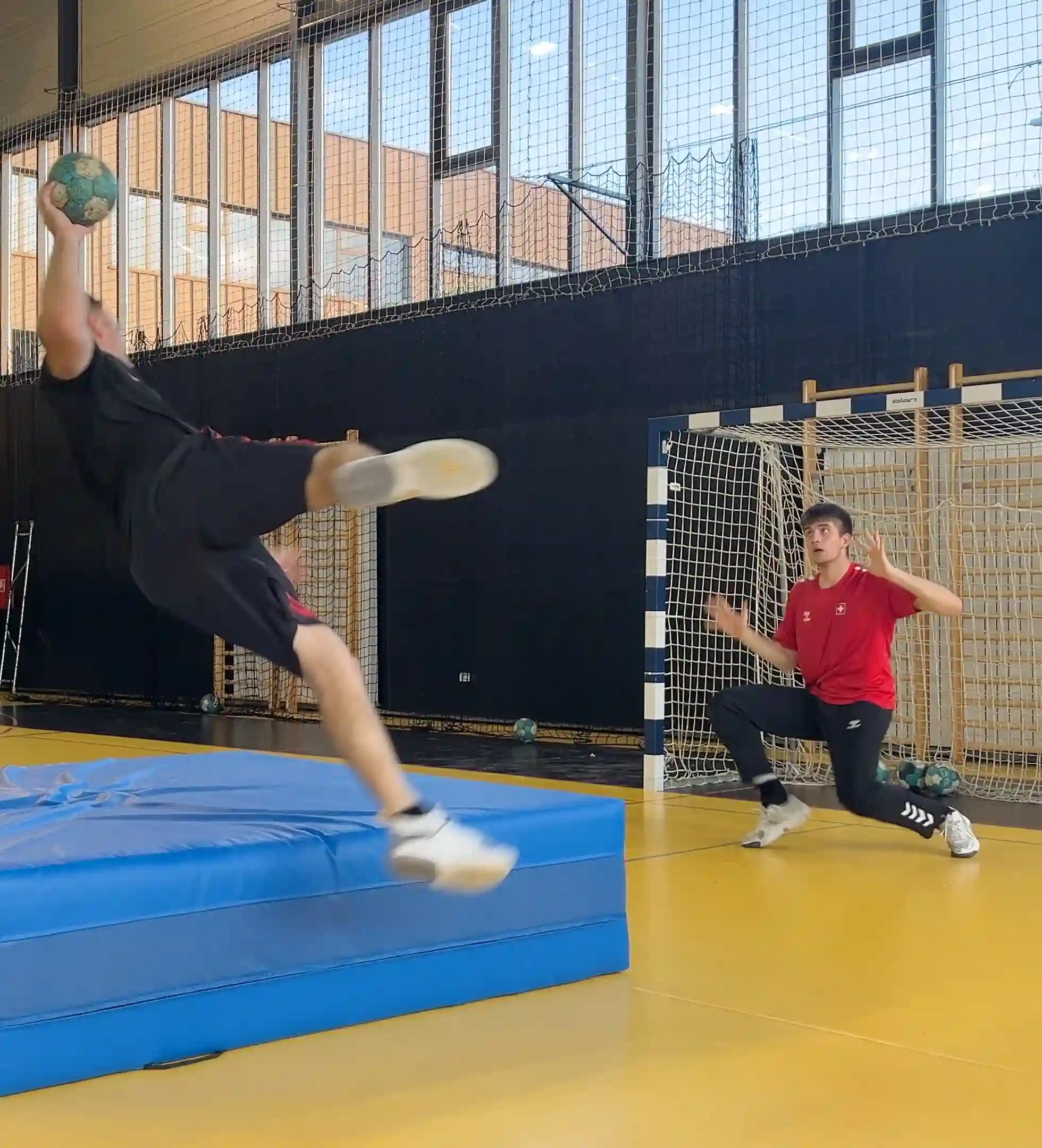 Close-up of a tree stump showing growth rings and a textured brown wood surface.