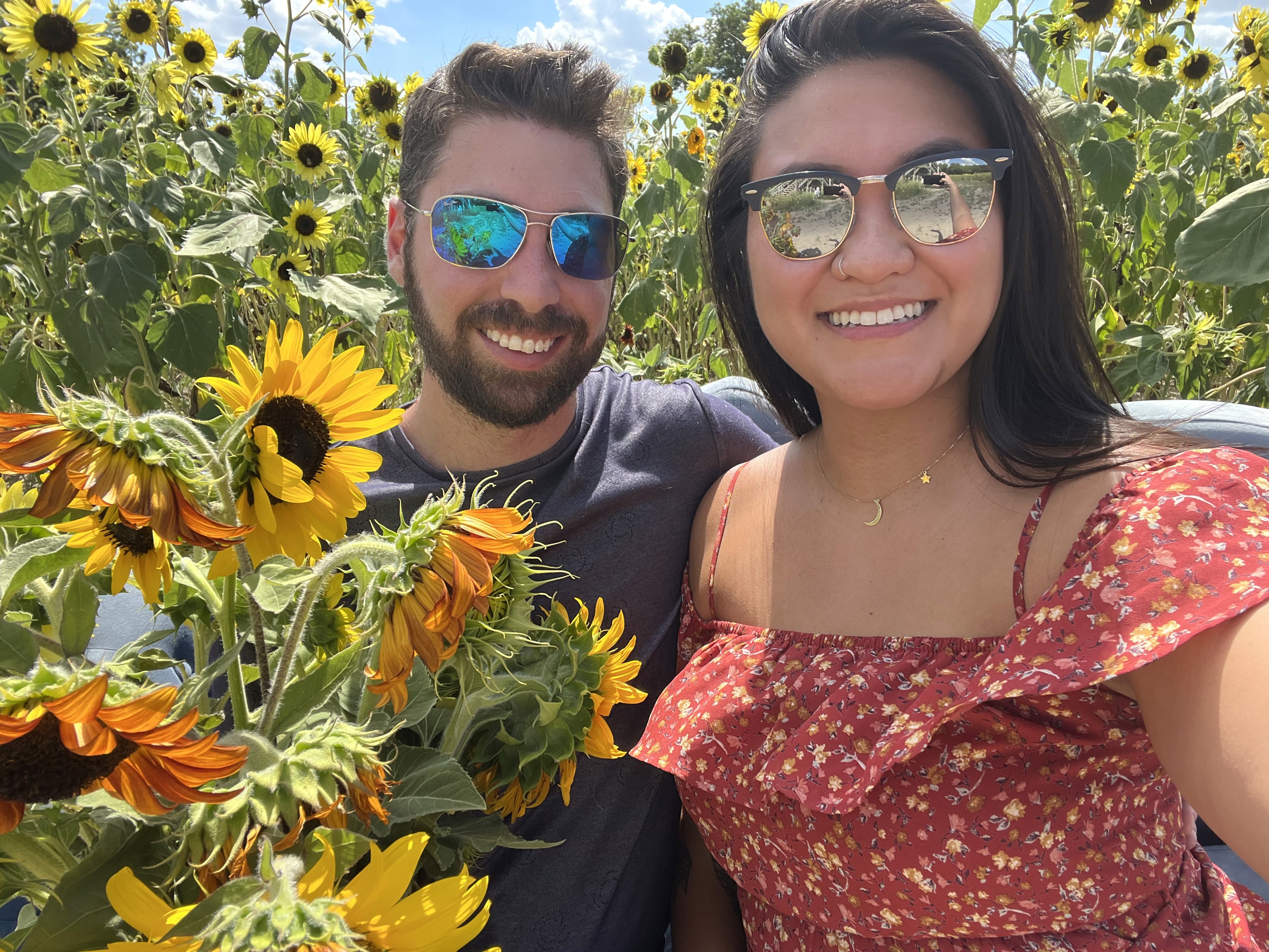 Sunflower Picking