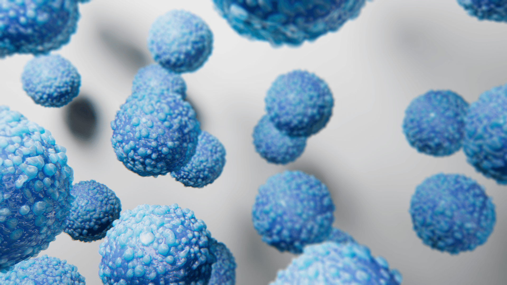 A group of stem cells