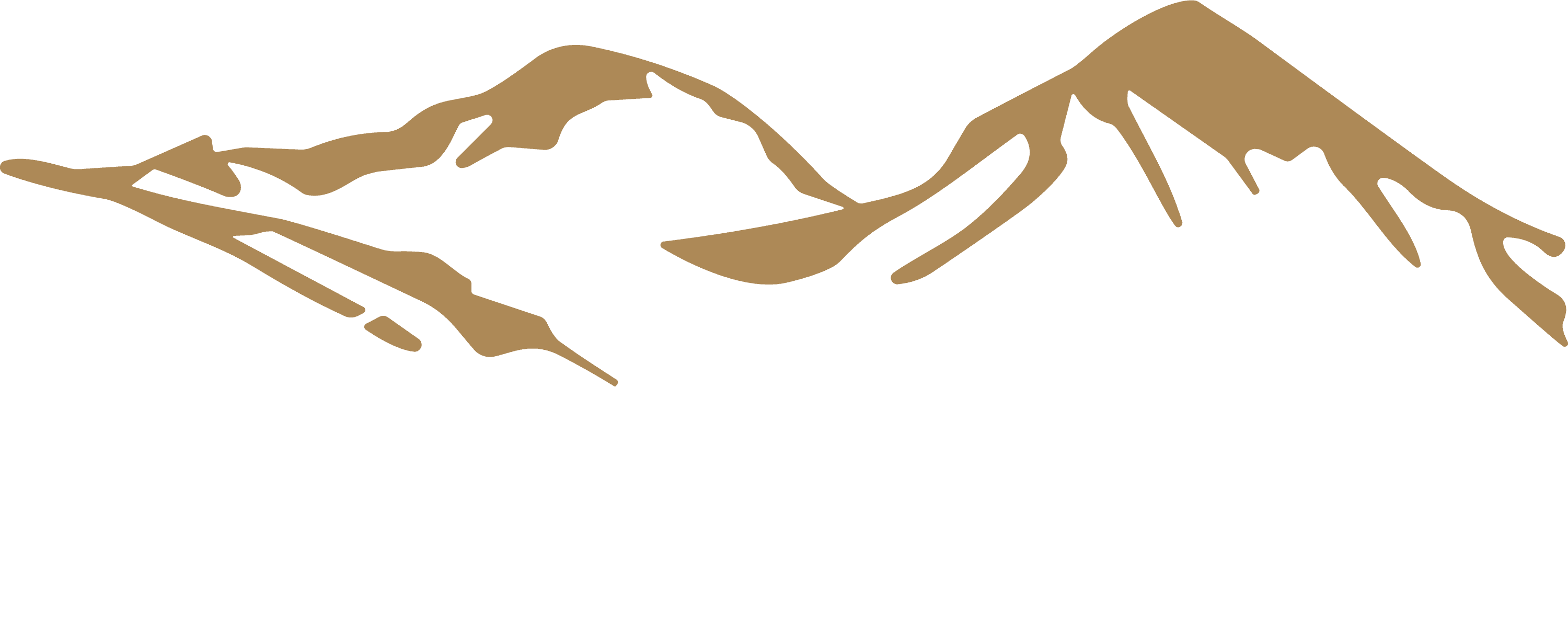 Logo of CB Capital