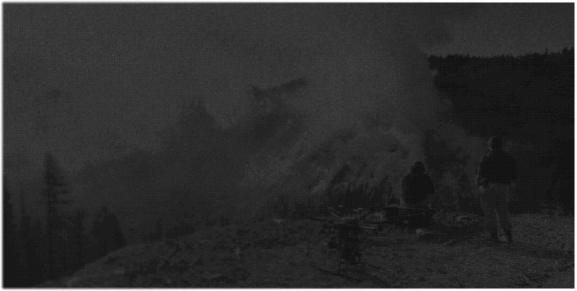 A smoky, misty night scene in a forested area shows two people standing on a hilltop, surrounded by tree silhouettes and ethereal fog, creating an atmospheric, mysterious ambiance.