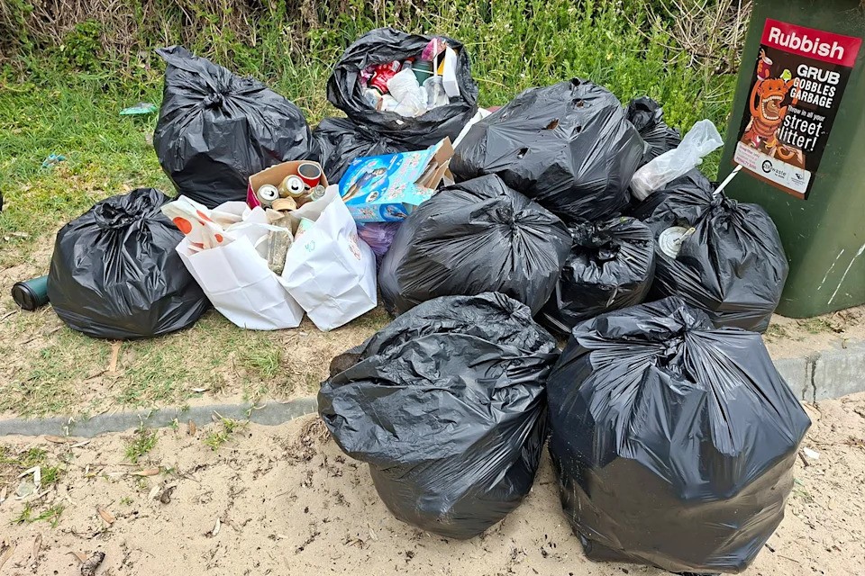 Bags of rubbish on the ground next to a red bin at Mornington.
