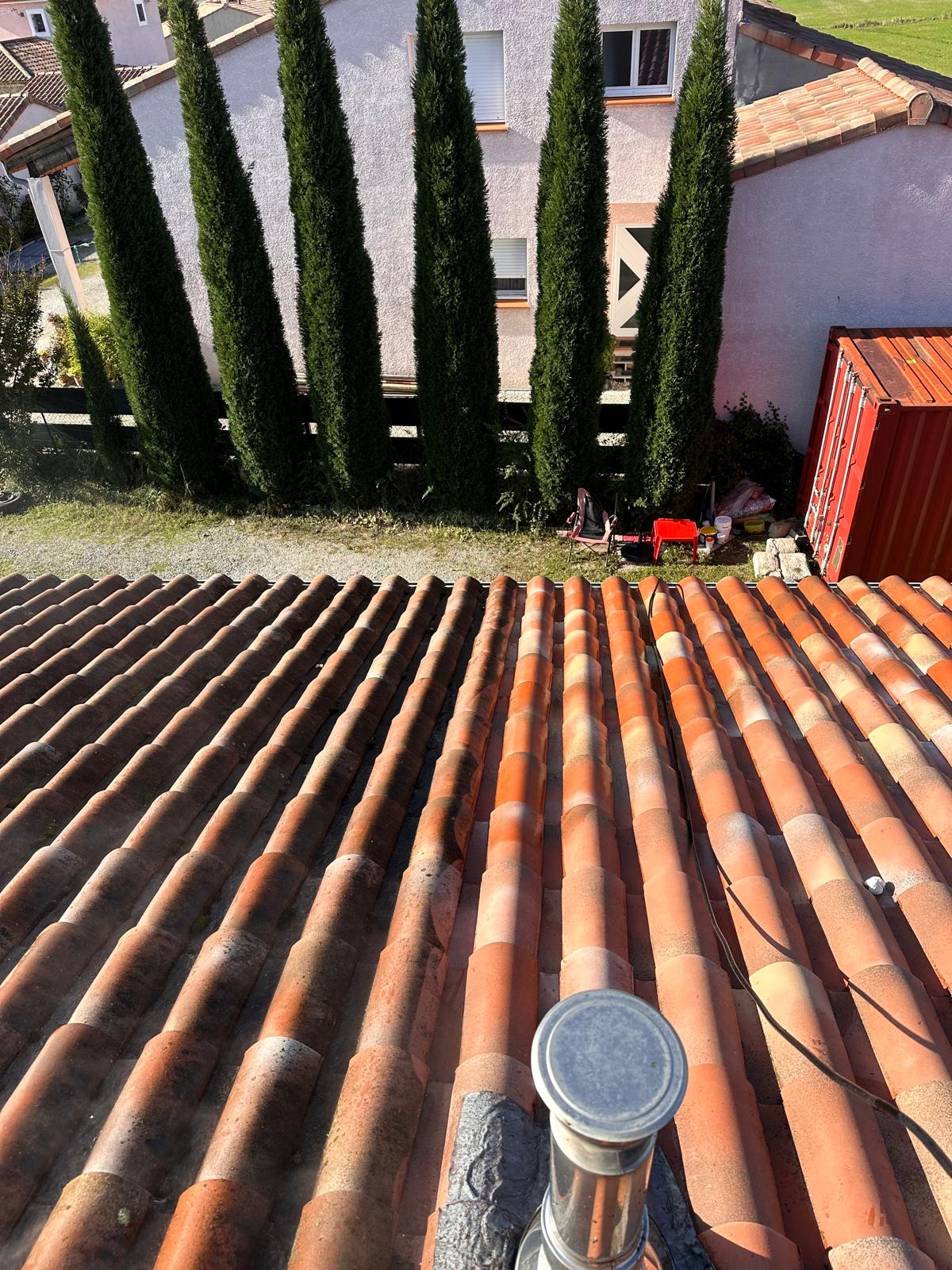 Landscaper and Landscaping gardening service template framer by real mehedi