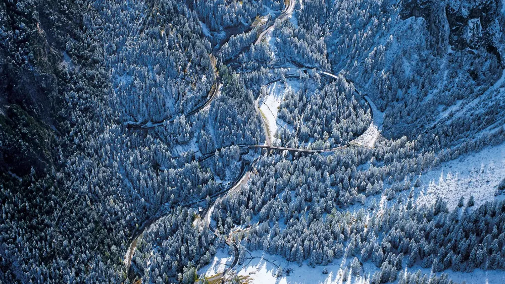 From glaciers to palms on Bernina Express