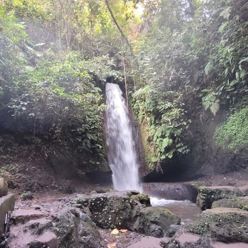 私家導覽 + 烏布的交通票券