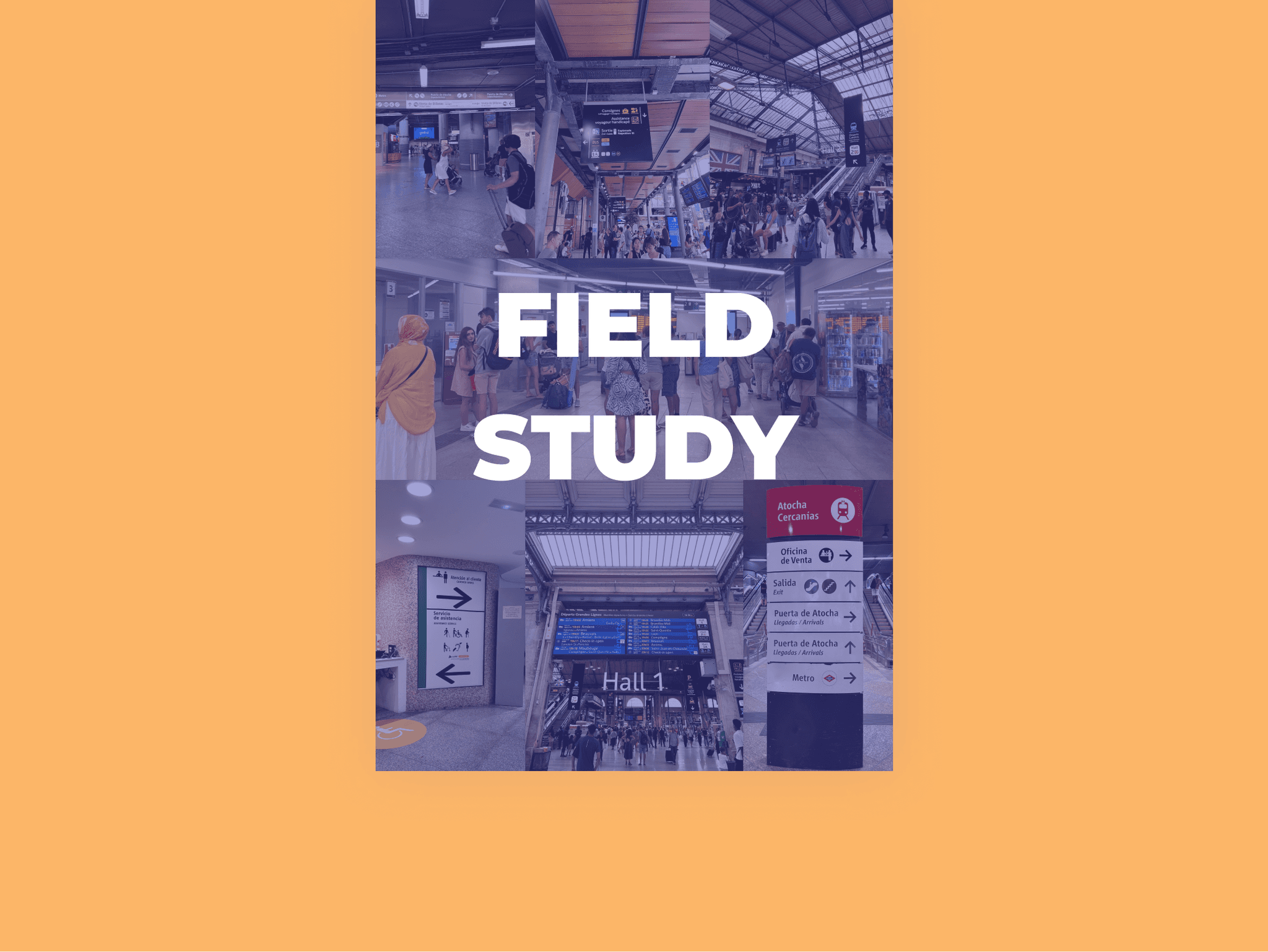 Field study pictures