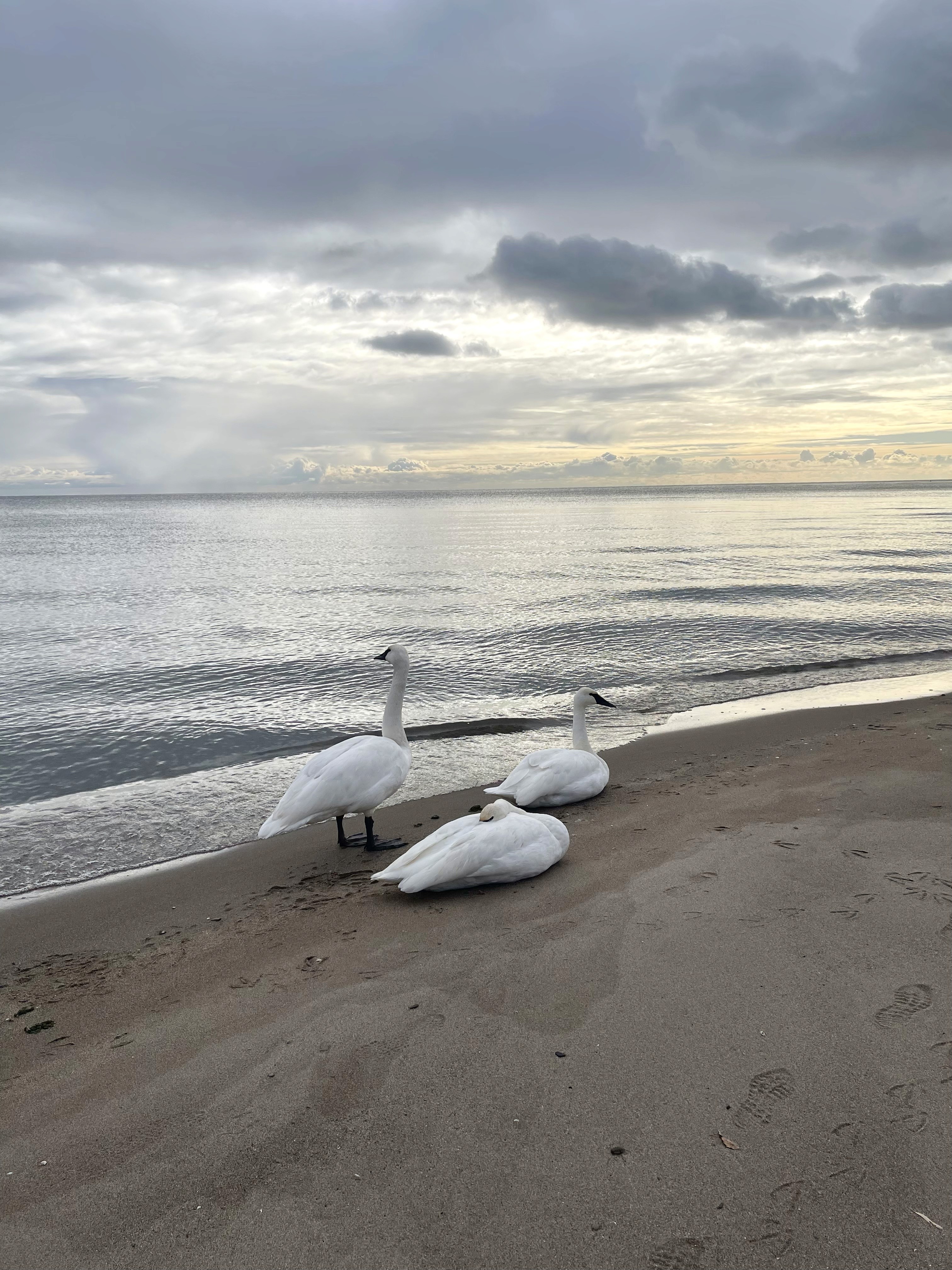 low angle view of a building