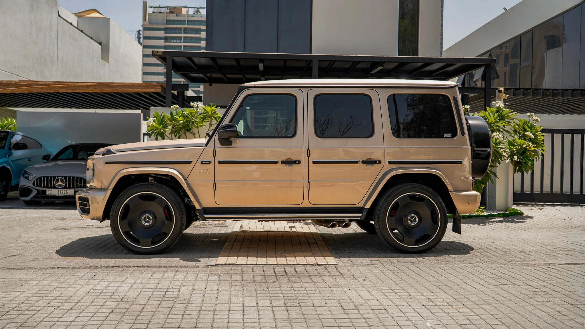 Green glass-metallic background with statistic cards