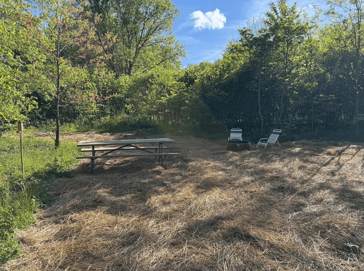 Tent Site - Close To The Earth campsite at Blooming Bus Farms