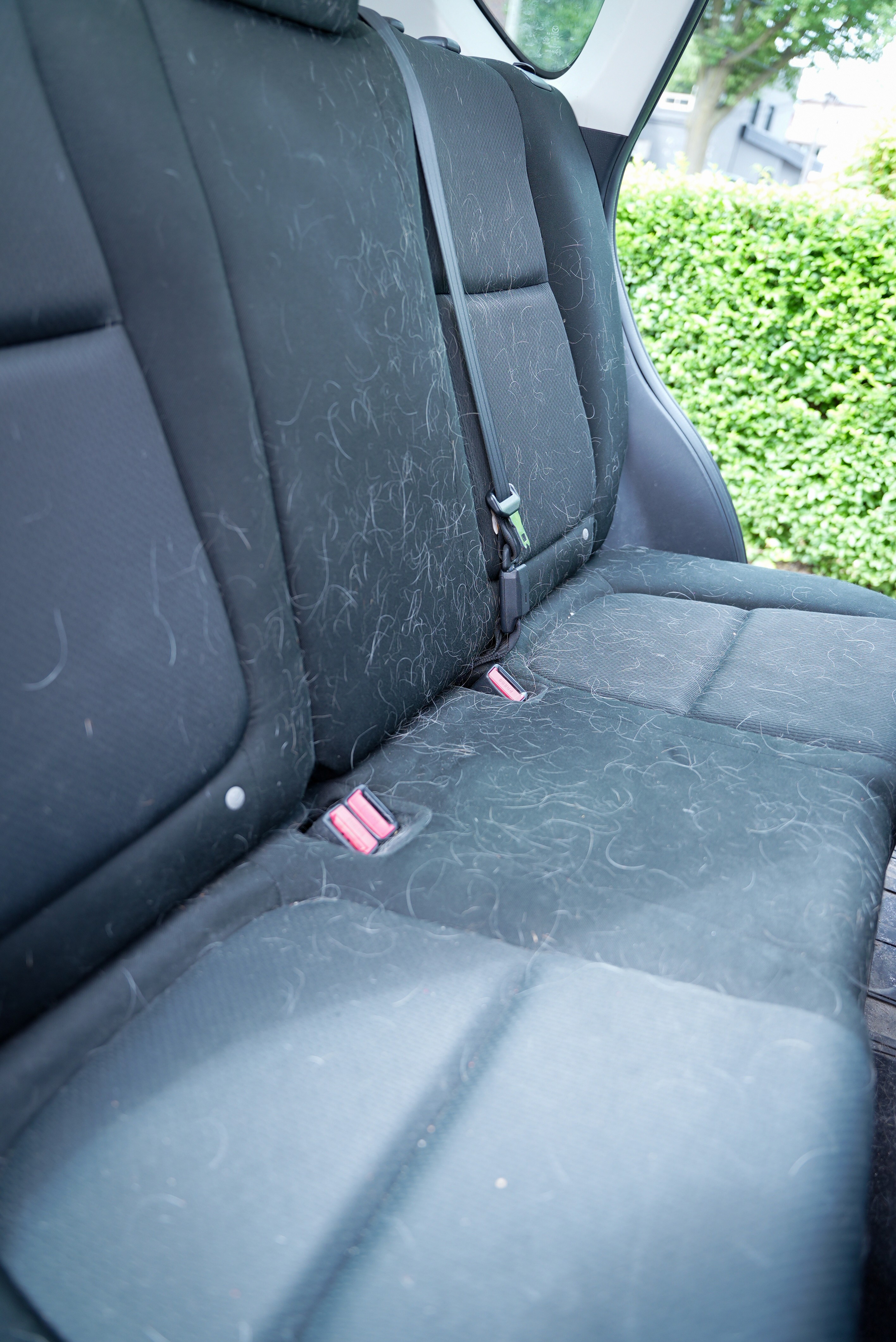 Toronto fur free dog hair dashboard removal service