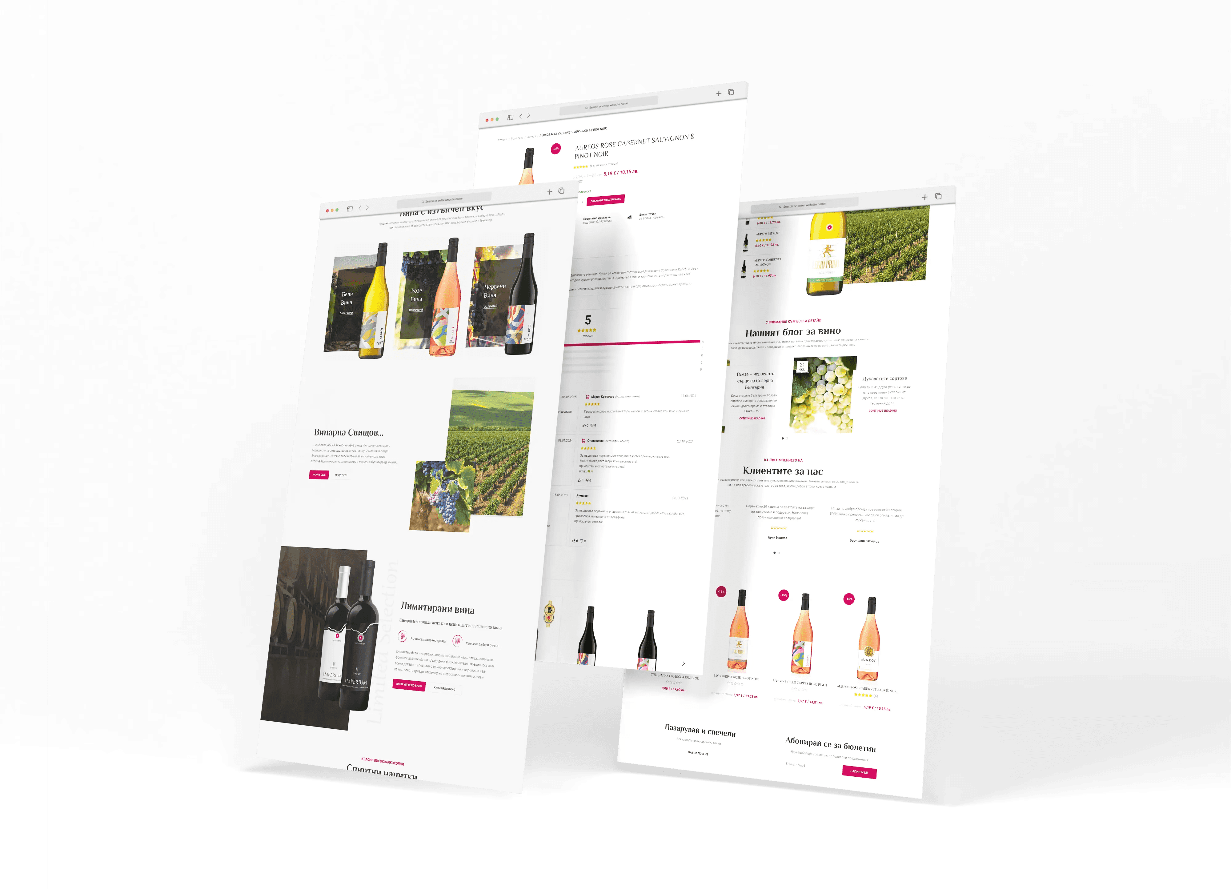 Shishtov Winery and Pansyer | Case Study