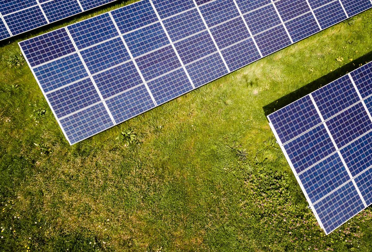 Freistehende Solarmodule auf einem grünen Grundstück
