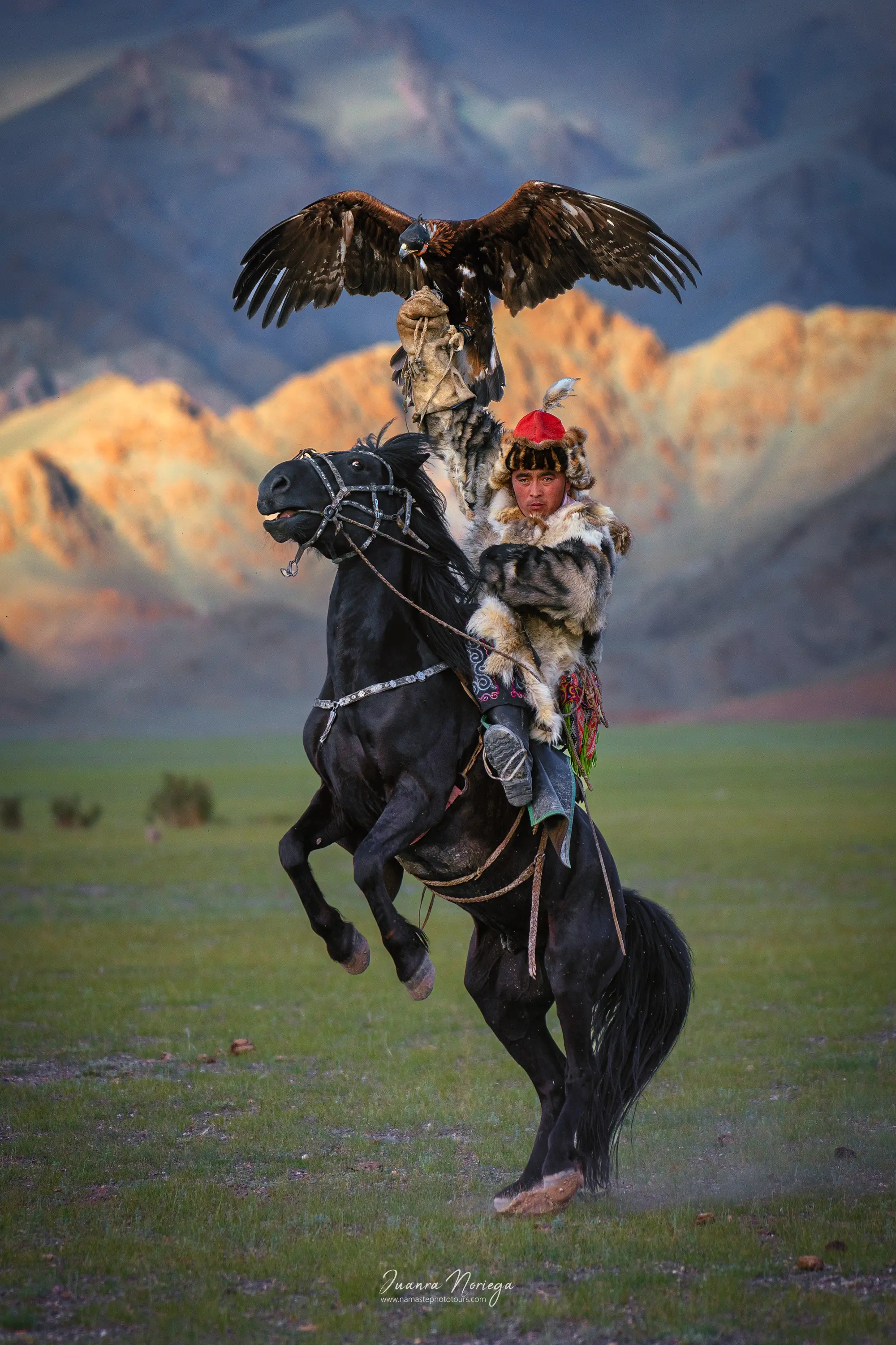 Cazador con águila en Mongolia