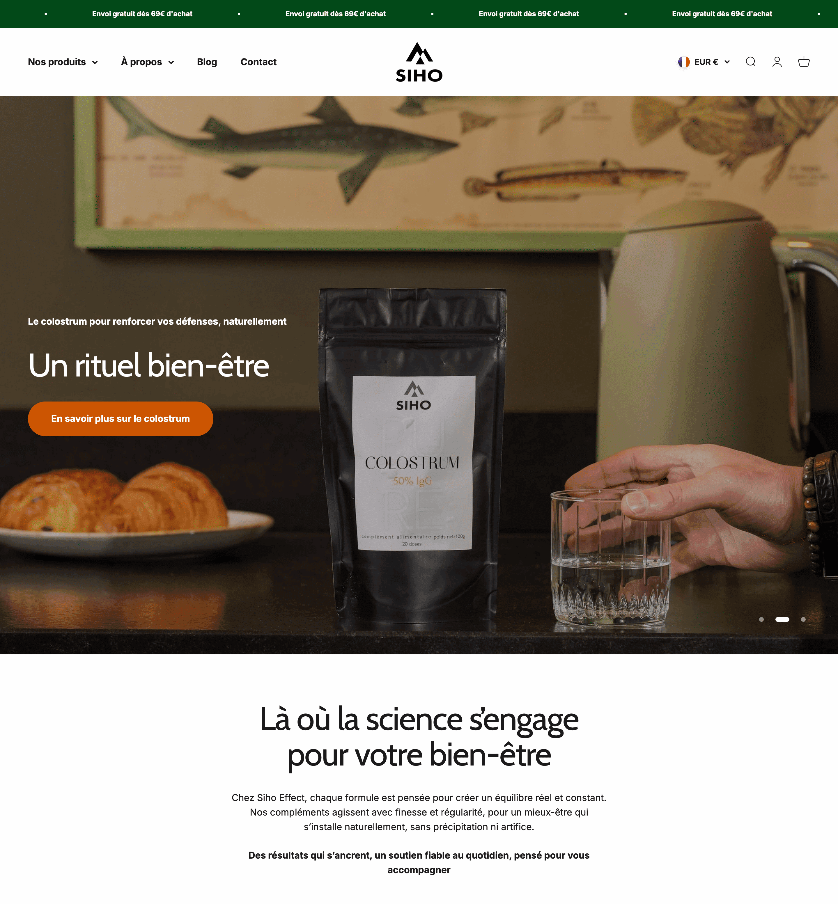 Website Design